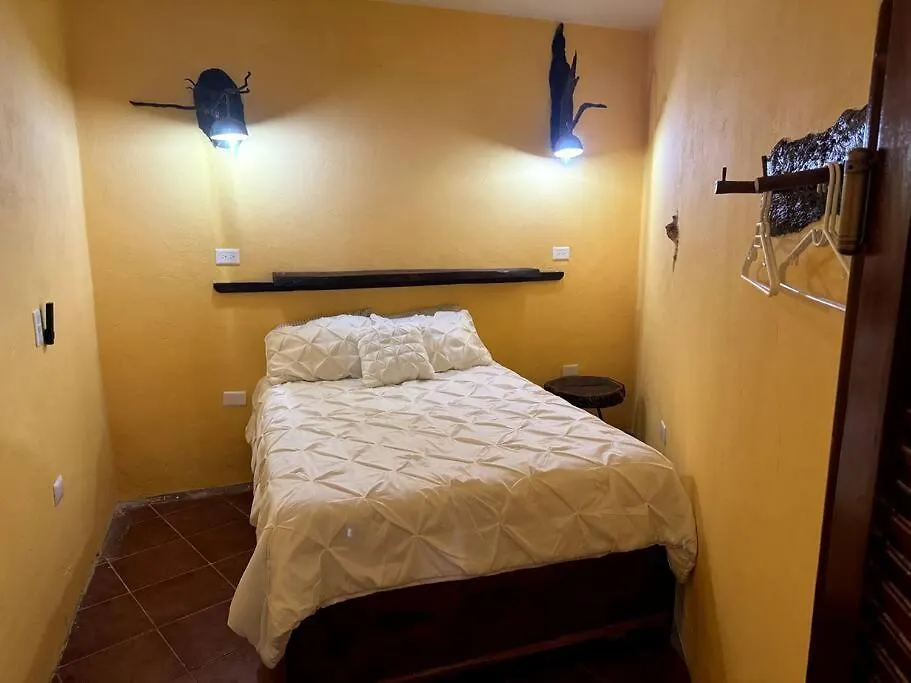 Jungle Meets Modern Cavern On 5Th Ave Playa del Carmen