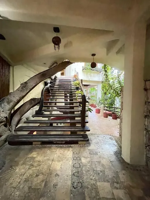 Lejlighed Jungle Meets Modern Cavern On 5Th Ave Playa del Carmen Mexico