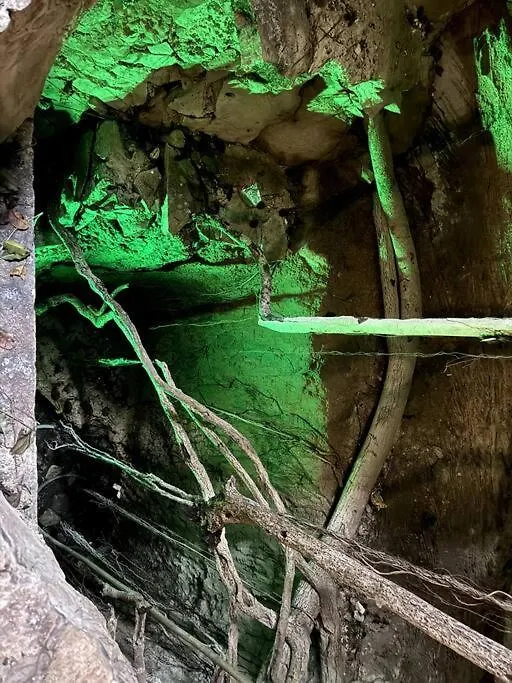 Jungle Meets Modern Cavern On 5Th Ave Playa del Carmen Lejlighed