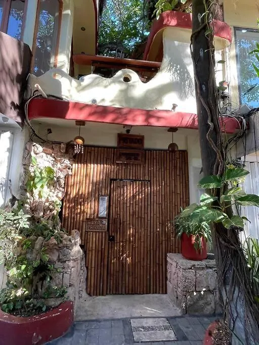 Jungle Meets Modern Cavern On 5Th Ave Playa del Carmen