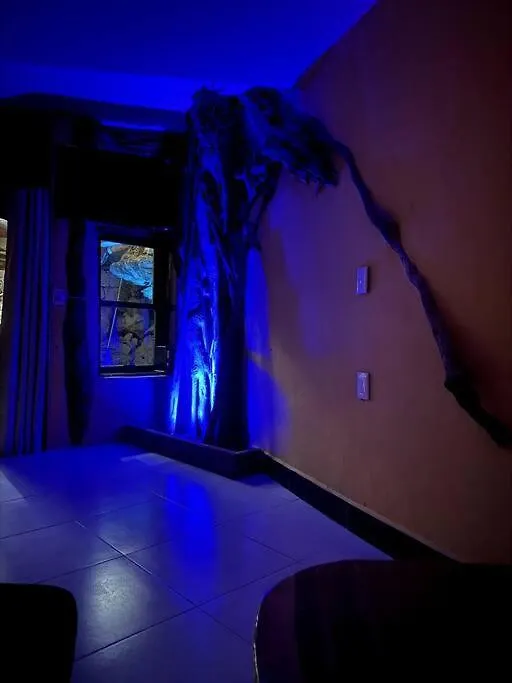 Jungle Meets Modern Cavern On 5Th Ave Playa del Carmen Mexico