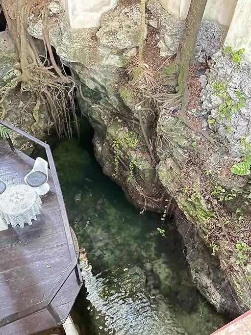 Lejlighed Jungle Meets Modern Cavern On 5Th Ave Playa del Carmen