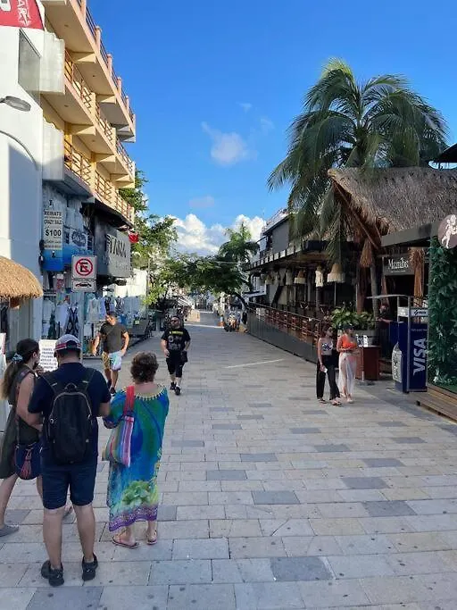 Jungle Meets Modern Cavern On 5Th Ave Playa del Carmen Mexico