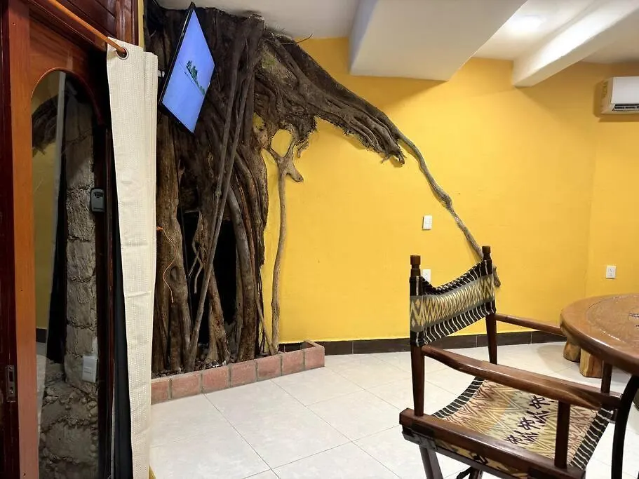 Jungle Meets Modern Cavern On 5Th Ave Playa del Carmen