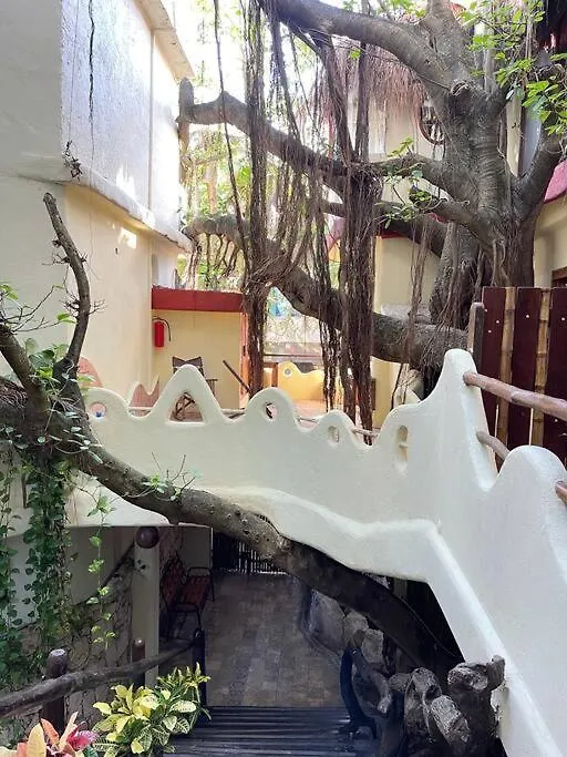 Jungle Meets Modern Cavern On 5Th Ave Playa del Carmen 0*,  Mexico