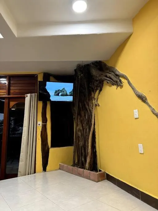 Jungle Meets Modern Cavern On 5Th Ave Playa del Carmen Lejlighed