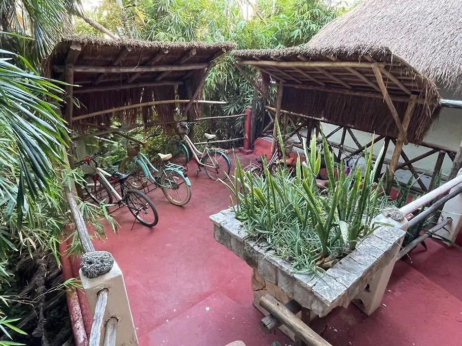 Lejlighed Jungle Meets Modern Cavern On 5Th Ave Playa del Carmen