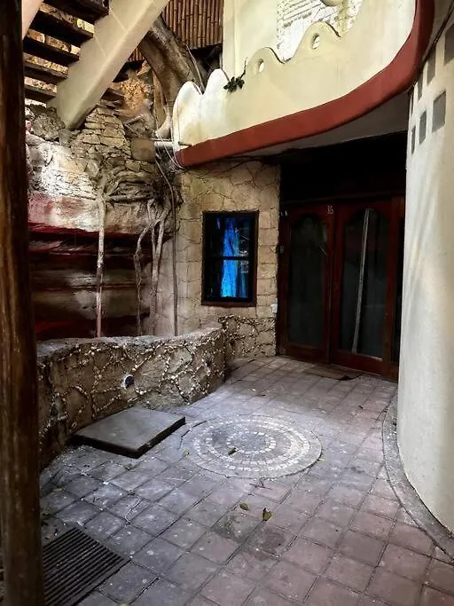 Jungle Meets Modern Cavern On 5Th Ave Playa del Carmen